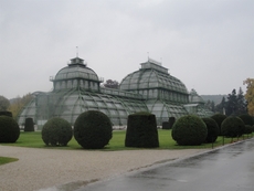 Palmenhaus.JPG